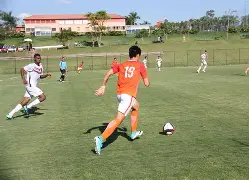 鲁能新帅官宣引进新外援 鲁能新帅官宣引进新外援