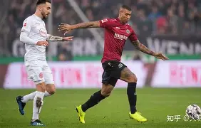 半岛体育下载-开拓者 属性