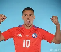 四大野战军哪个是嫡系